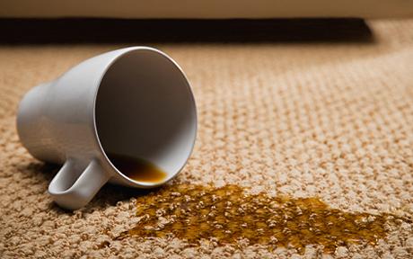 éliminer tache café de tapis